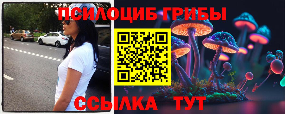 Галлюциногенные грибы Psilocybe  Вход с VPN  Королёв 